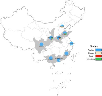 Serotyping, MLST, and Core Genome MLST Analysis of Salmonella enterica From Different Sources in China During 2004–2019